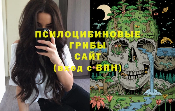 a pvp Арсеньев