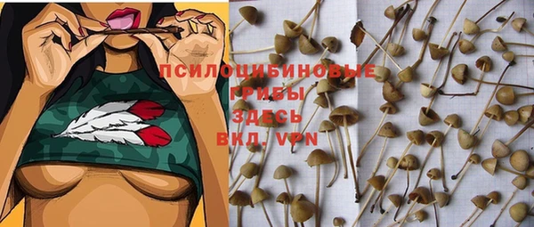 a pvp Арсеньев